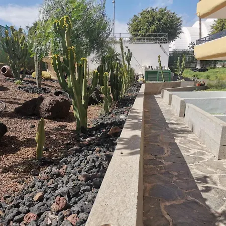 Sunny Cactus Garden 150m From Beach, Fast Fiber Wifi Lägenhet *